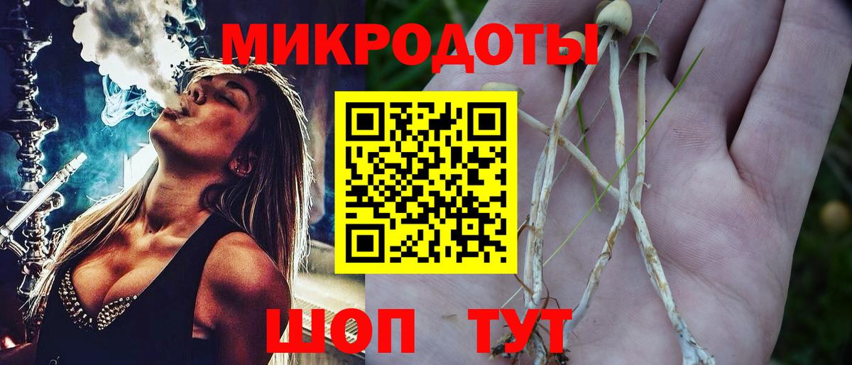 Псилоцибиновые грибы GOLDEN TEACHER Татарск
